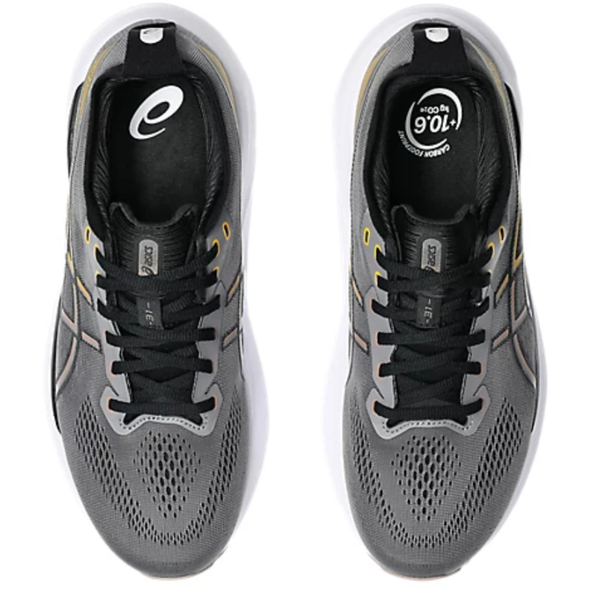 Zapatos Running para Caballero Gel Kayano 31