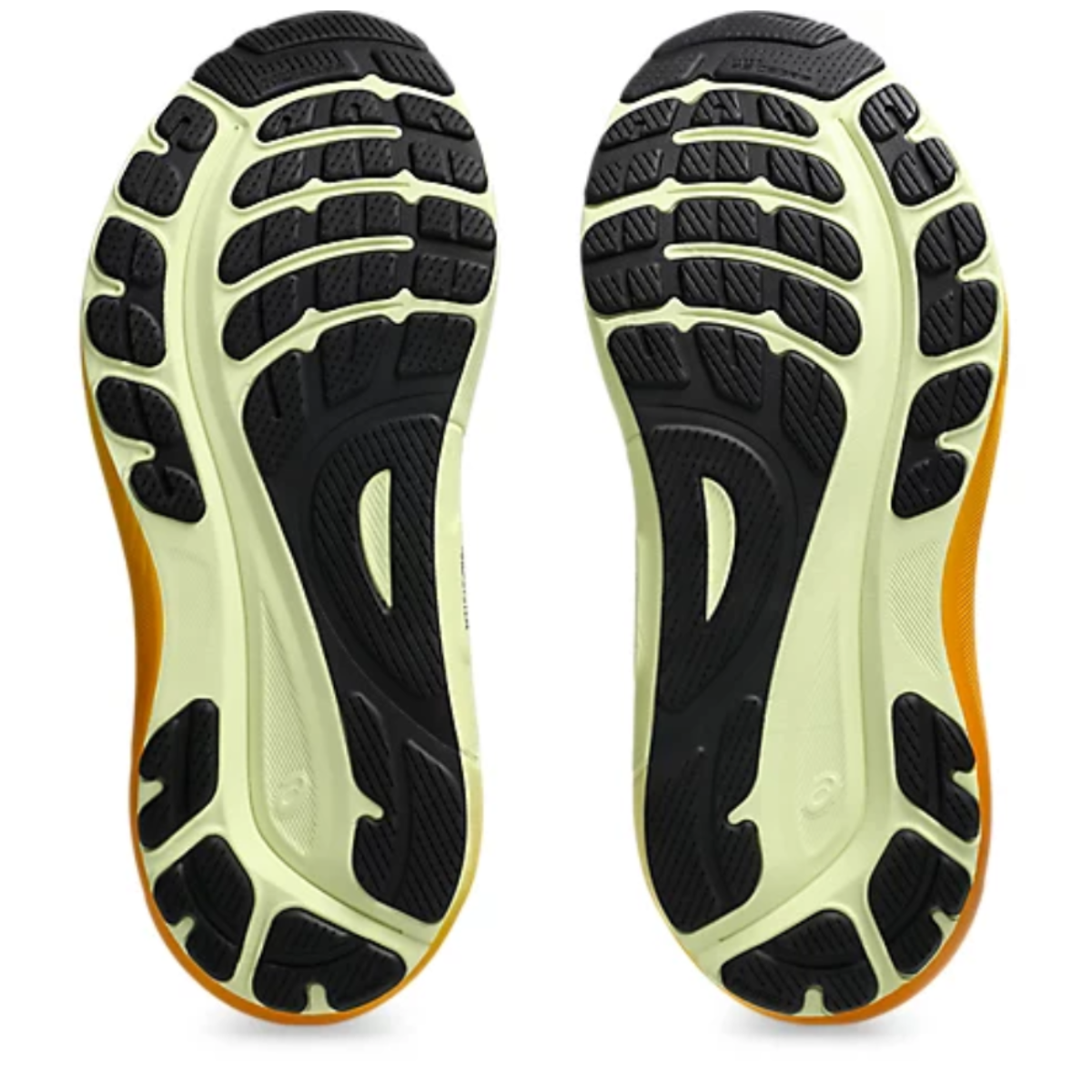 Zapatos Running para Caballero Gel Kayano 31