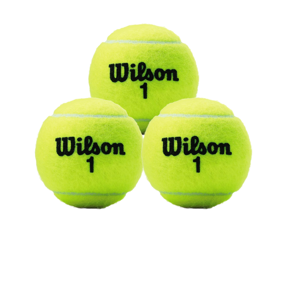 Pelota de Tenis Championship Extra Duty X3
