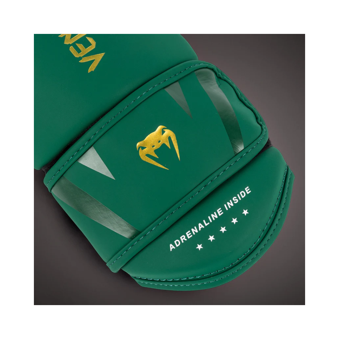 Guantes de Boxeo Challenger 4.0