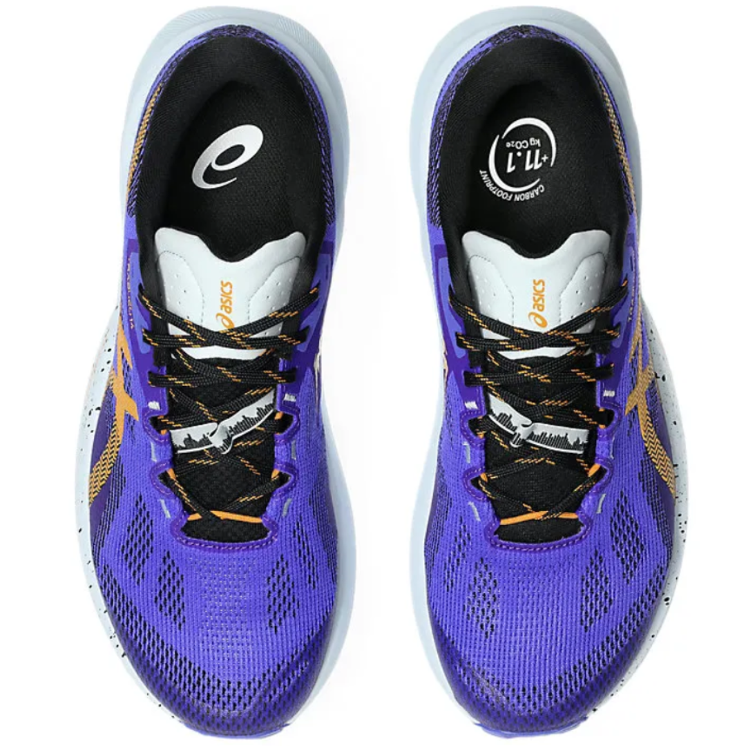 Zapatos de Trail para Caballero Gel Trabuco 14